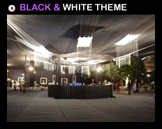 BLACK-WHITE THEME