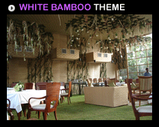 WHITE BAMBOO THEME